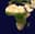 Another African coup by October 31?