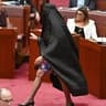Will Pauline Hanson wear a burqa again in 2026?