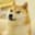 Will the Twitter home button still be DOGE on Friday?