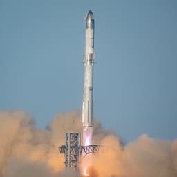 Will Elon Musk change his X profile picture by November 30?