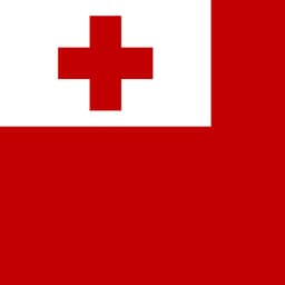 Will Person A be the next Prime Minister of Tonga after the election?