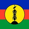 Next President of New Caledonia