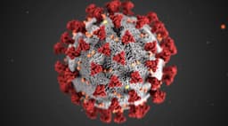 New pandemic in 2025?
