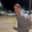 Will Ross Ulbricht go on Joe Rogan before March?