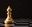 Will Magnus Carlsen win the Speed Chess Championship?