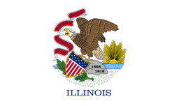 IL-13 House Election Winner