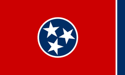 TN-04 House Election Winner