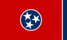 TN-04 House Election Winner