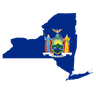 New York Democratic Governor Primary Winner