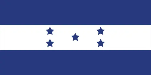 Will turnout in the 2025 Honduran general election be between 60% and 65%?
