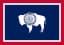 Will Chip Neiman win the 2026 Wyoming Governor Republican primary election?