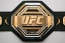 Who will become a UFC champion in 2026?