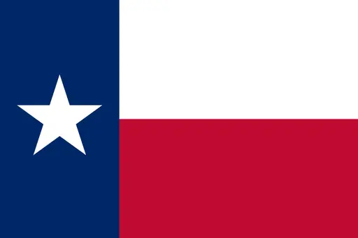 TX-10 House Election Winner