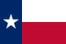 TX-26 House Election Winner