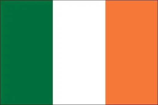 Will Person D win the 2026 Dublin-central by-election?
