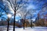 Will it snow in New York's Central Park on New Year's Eve (Dec 31)?