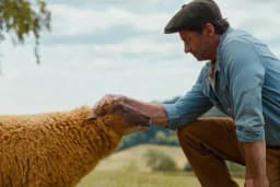 "The Sheep Detectives" Rotten Tomatoes score?