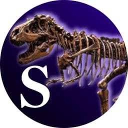 Will the Gorgosaurus skeleton sell for more than $6 million at Sotheby's?