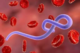 Ebola case in the US by June 30?