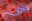 Ebola case in the US by June 30?