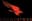 Will CrowdStrike Q1 net new ARR be above $225M?