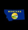 Montana Senate Election Winner