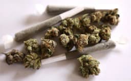 Weed rescheduled by December 31?