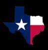 Texas Governor Election Winner