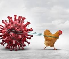 100+ Bird Flu cases in U.S. before April?