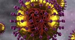 700+ Measles cases in U.S. before May?