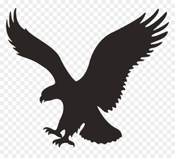 Will American Eagle Outfitters (AEO) beat quarterly earnings?
