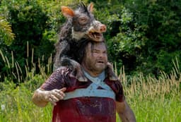 Will "Anaconda" Opening Weekend Box Office be between 27m and 31m?