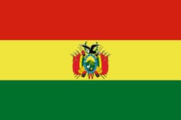 Will Person K win the 2025 Bolivia presidential election?