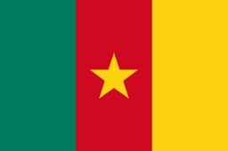 Will Person H win the Cameroon Presidential Election?