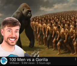 Dillon Danis x Gorilla fight scheduled by next Friday?