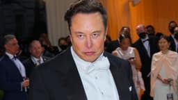 Elon Musk citizenship revoked before inauguration?