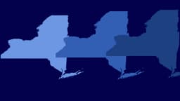 First round leader wins NYC Democratic primary?