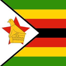 Zimbabwe Presidential Election: Will Mnangagwa win?
