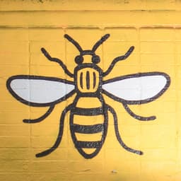 Greater Manchester Mayoral Election Winner