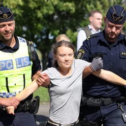 Greta Thunberg arrested by December 31?