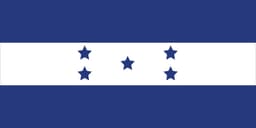 Will turnout in the 2025 Honduran general election be at least 75%?