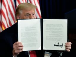 Will Donald Trump issue 50-74 executive orders in his first week?
