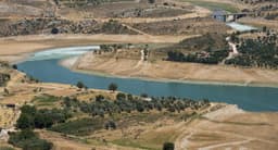Will Israeli forces withdraw from beyond the Litani River by July 31?