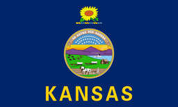 Will Adam Hamilton be the Democratic nominee for Senate in Kansas?