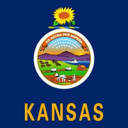 Kansas Supreme Court Elections Amendment Passes?