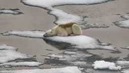 Min Arctic sea ice extent this summer?