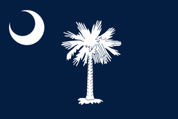 Will Player D be the Republican nominee for Senate in South Carolina?
