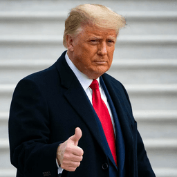 Trump positive favorability on February 1?