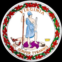 Will another candidate win the VA-5 Republican House Primary?