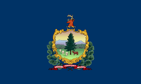 Will Amanda Janoo win the 2026 Vermont Governor Democratic primary election?